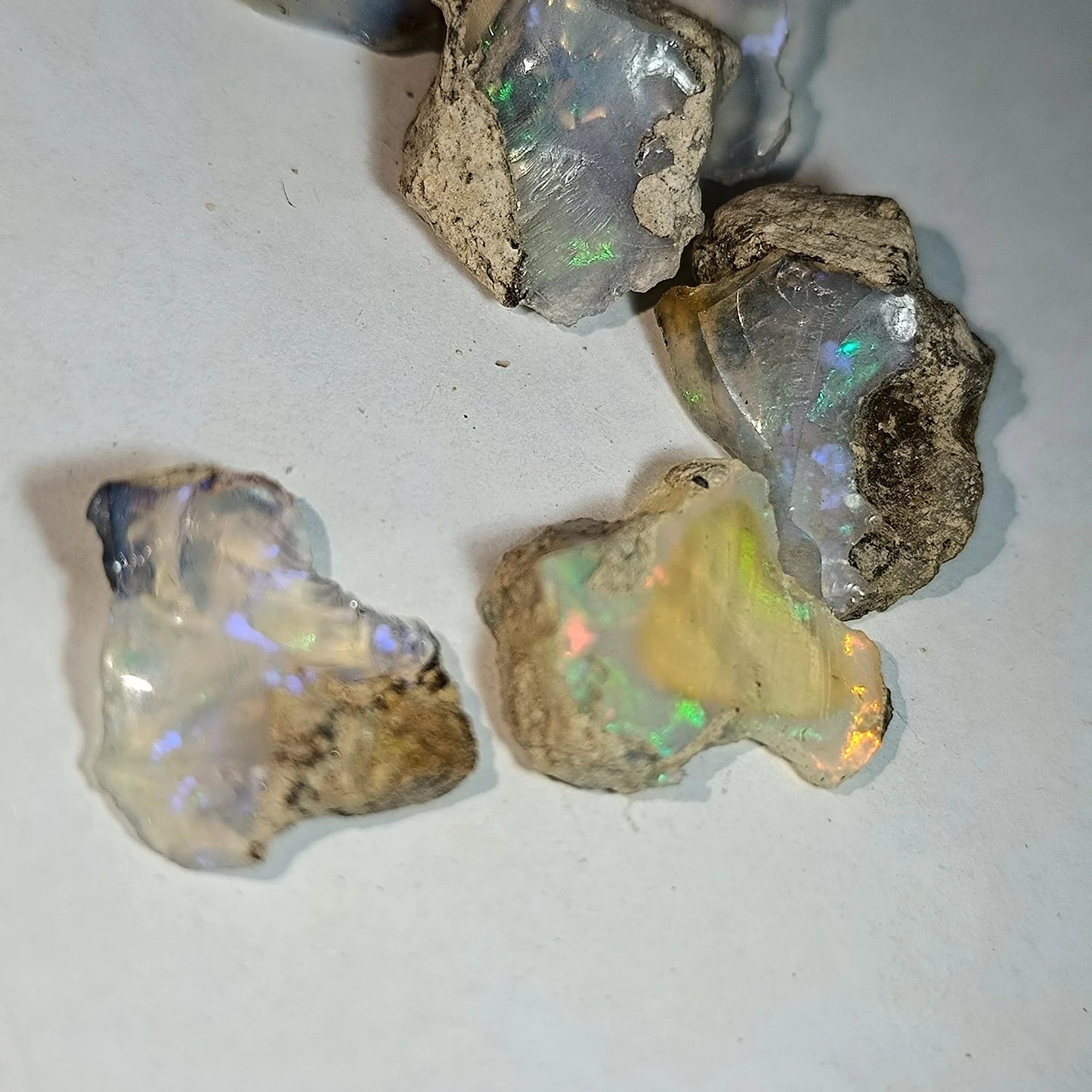 Lot opale welo brutes 53.80 carats