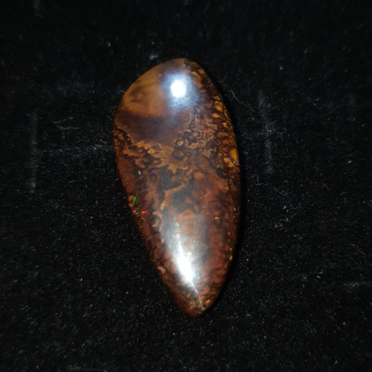 Opale boulder koroit de 15.65 carats
